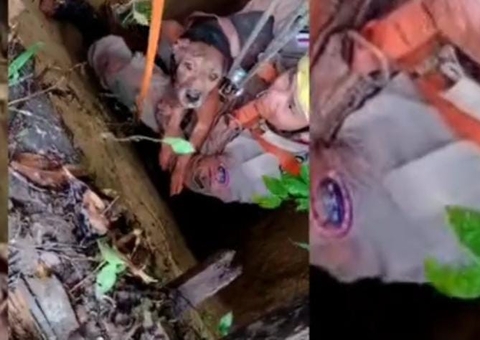Cachorro é resgatado após cair em poço de 21 metros no Amazonas