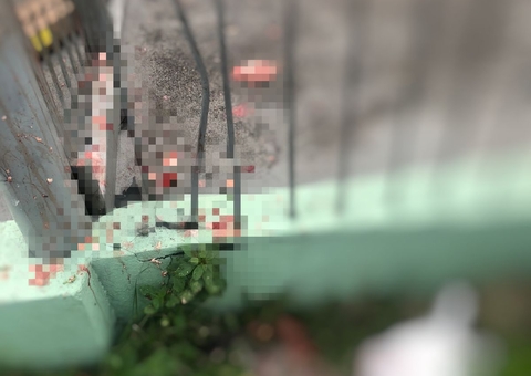 Mulher morta em acidente teve cabeça esmagada e mão dilacerada em Manaus