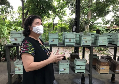 Inpa vai celebrar Dia Internacional da Mulher com evento online