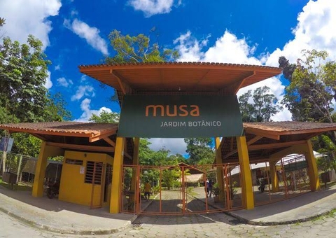 Insegurança turística, uma grande preocupação para o Amazonas