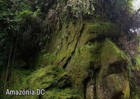 Face humana de pedra na Amazônia peruana desperta curiosidades dos viajantes