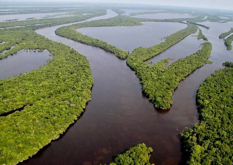 Floresta e Água: fontes de riquezas do turismo na Amazônia