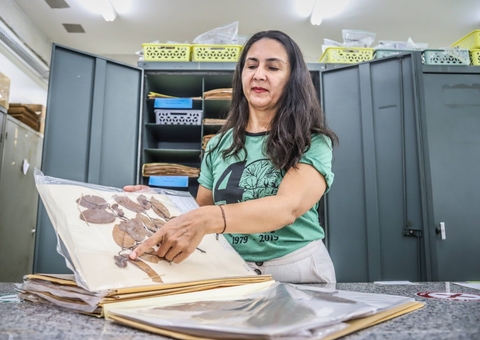 Acervo de plantas desidratadas da Ufam será digitalizado 