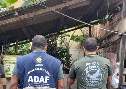 Abatedouro clandestino em bairro de Manaus é interditado após denúncias