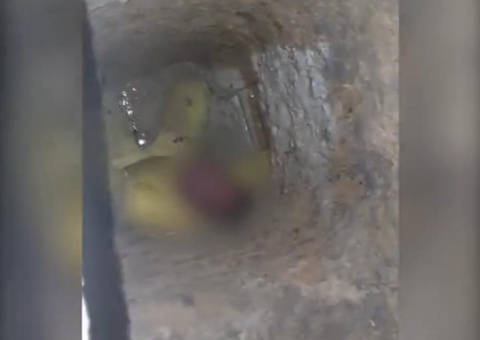 Seap admite existência de túneis mas nega fuga em massa