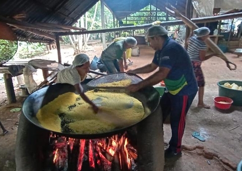 Comunidades indígenas no Amazonas recebem incentivo para produzir farinha