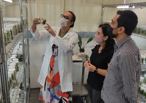 Parceria entre o CBA e IPT fortalece estímulo à pesquisas na área de biotecnologia