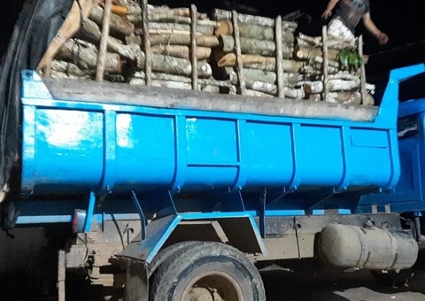 Caminhões são apreendidos com madeira ilegal no Amazonas