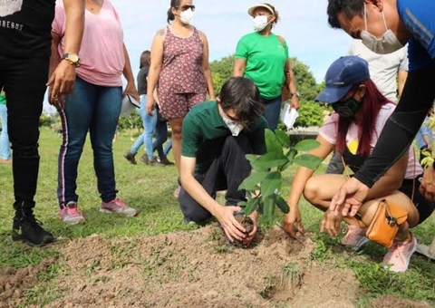 Projeto de Amom Mandel atinge marca de 5 mil árvores plantadas em Manaus 