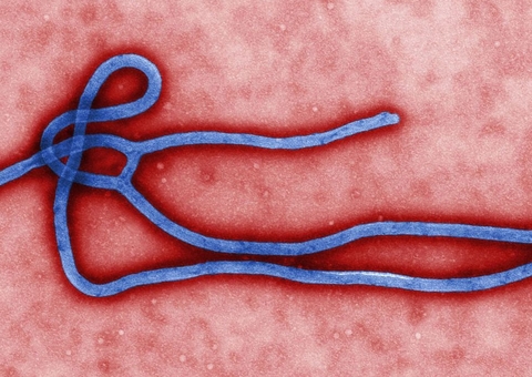 Novo surto de ebola atinge a República Democrática do Congo