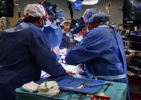Coração de porco que foi transplantado em homem estava com vírus, diz médico