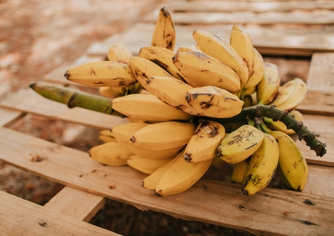 8 alimentos que são os melhores amigos da sua vagina