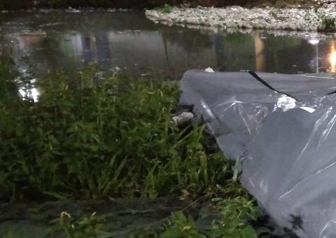 Segundo corpo decapitado é encontrado jogado em igarapé em Manaus