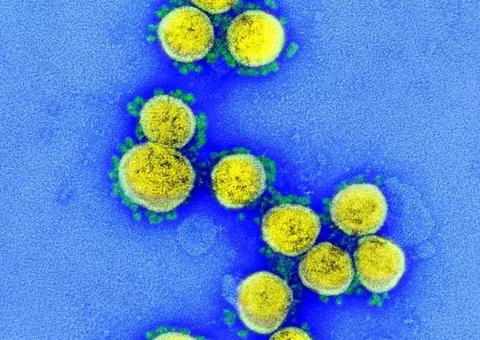 Linhagem inédita da ômicron é detectada no Brasil
