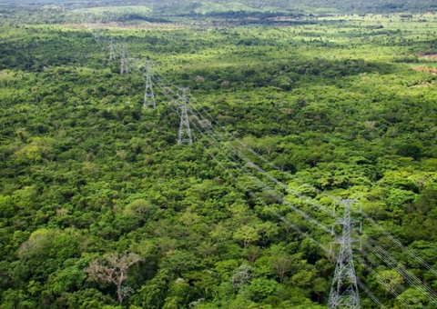 Cimi aponta inconstitucionalidade de projeto que autoriza linhas de energia em terras indígenas