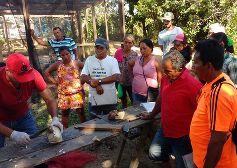 Inpa inicia treinamento em práticas agroecológicas para agricultores