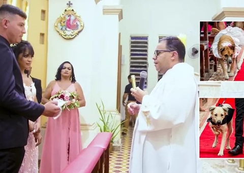 Vídeo: Padre encerra casamento ao ver que pajens dos noivos são cães: ‘é o cúmulo'