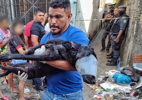 Cachorro morre após ser baleado durante ataque criminoso em beco de Manaus