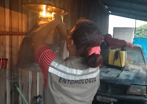 Caso de Leishmaniose Visceral Canina é investigado no interior do Amazonas