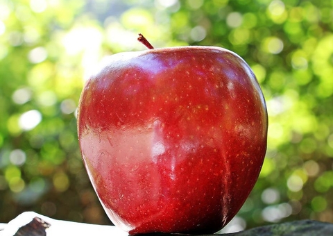 Criança morre após se engasgar com maçã em creche