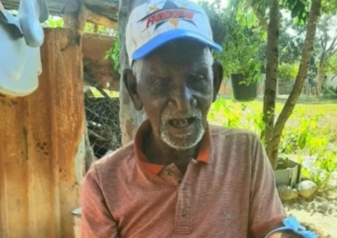 Idoso morre após ser atacado por mais de 500 abelhas 