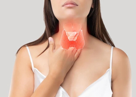 Tireoide: endocrinologista destaca importância da glândula para equilíbrio do corpo