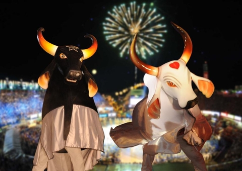 Pessoas com deficiência e acompanhantes terão acesso gratuito ao Festival de Parintins