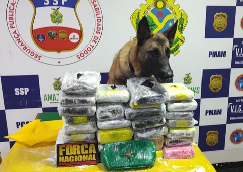 Mais de R$ 300 mil em drogas escondidas em pacotes de sabão em pó são apreendidas no Amazonas