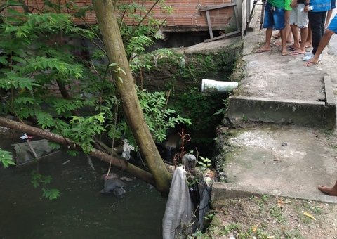 Cercado por jacarés, corpo de homem é encontrado boiando em igarapé de Manaus