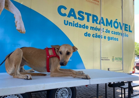 Castramóvel realiza mutirão neste fim de semana no interior do Amazonas