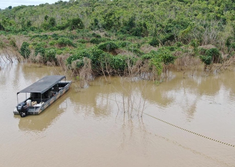 Remo e cartuchos de arma são apreendidos durante buscas por Dom e Bruno