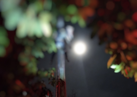 Homem é encontrado carbonizado 'grudado' em poste na BR-174