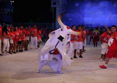 Passagem de som do Garantido emociona torcedores em Parintins