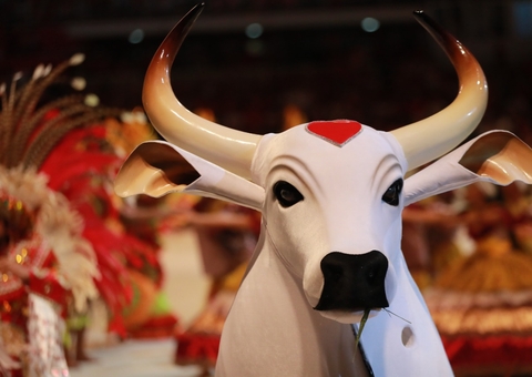 Presidente do Boi Garantido extingue cargos após derrota na arena