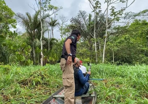 Cabeça humana é encontrada em lago no interior do Amazonas