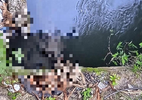 Com cordas no pescoço, corpos com as mãos amarradas boiam em igarapé de Manaus