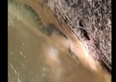 Vídeo: Mulher corre desesperada ao perceber que estava ao lado de sucuri de 5 metros