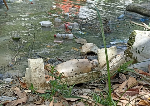 Corpo esquartejado achado no Parque dos Bilhares estava escondido em caixa de isopor