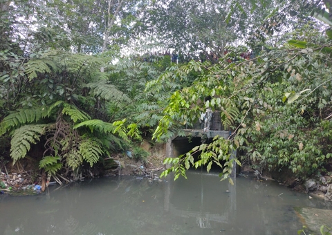 Corpo é encontrado boiando em igarapé na Reserva Ducke em Manaus