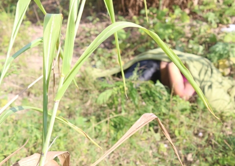 Mulher com tornozeleiras achada morta em Manaus foi torturada 