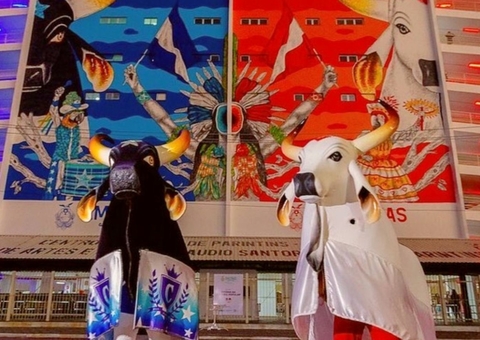 Bois de Parintins precisam adotar leis mais rígidas sobre má gestão