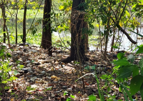 Restos mortais são encontrados nas margens de igarapé em Manaus