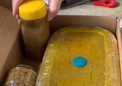 Filho do cartunista Maurício de Souza compra placa de vídeo por R$ 14 mil e recebe areia