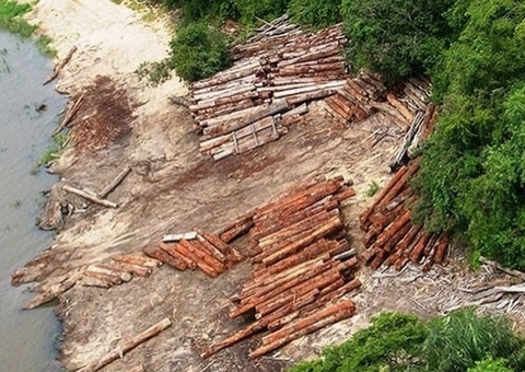 A Amazônia está queimando. Ai, ai, que horror! Ai, ai, que dor!