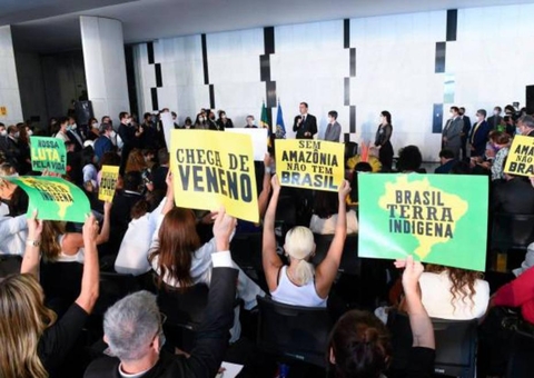 Pautas ambientais não têm apoio de deputados da Amazônia