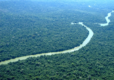 Empresa deve apresentar ao MPF documentos que comprovem propriedade de áreas no Pauini