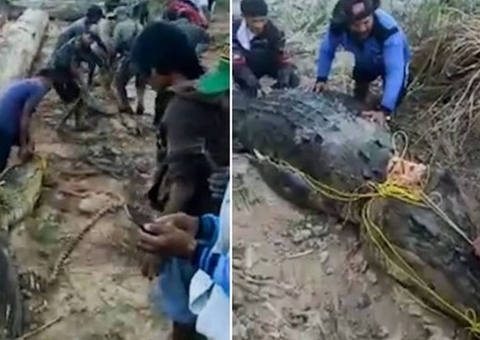 Corpo de pescador desaparecido é encontrado em crocodilo de 8 metros