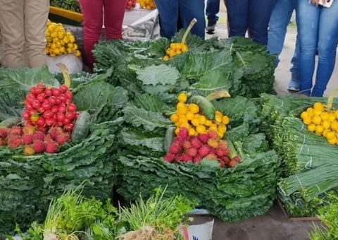 MPF exige aquisição de alimentos da agricultura familiar para escolas indígenas no Amazonas