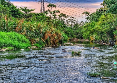 Corpo sendo consumido por urubus é encontrado em igarapé de Manaus