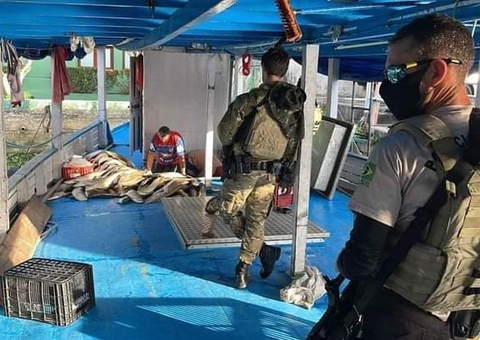 Dono de barco é multado em R$ 480 mil ao ser pego com toneladas de pirarucu ilegal no Amazonas